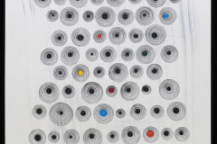 Concentric Circle Revolution
